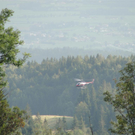 19092010paragliderLTaktivnews_20_26_.jpg