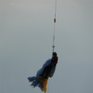 19092010paragliderLTaktivnews_20_29_.jpg