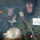 DSC_2944.jpg