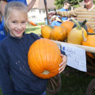 DSC00353.JPG