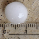RIMG0013.JPG