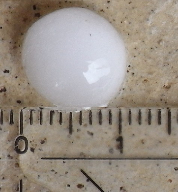 RIMG0013.JPG