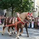 normal_18092010einzugwieseneirtehmaktivnews__28_.jpg