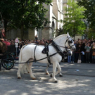 normal_18092010einzugwieseneirtehmaktivnews__65_.jpg