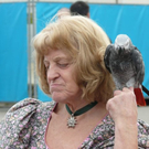 normal_18092010wiesnerstertaghmaktivnews__33_.jpg