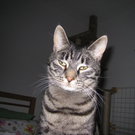 IMG_2930_JPG-1284985848