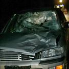 14112009vub162ffaktivnews_37.jpg