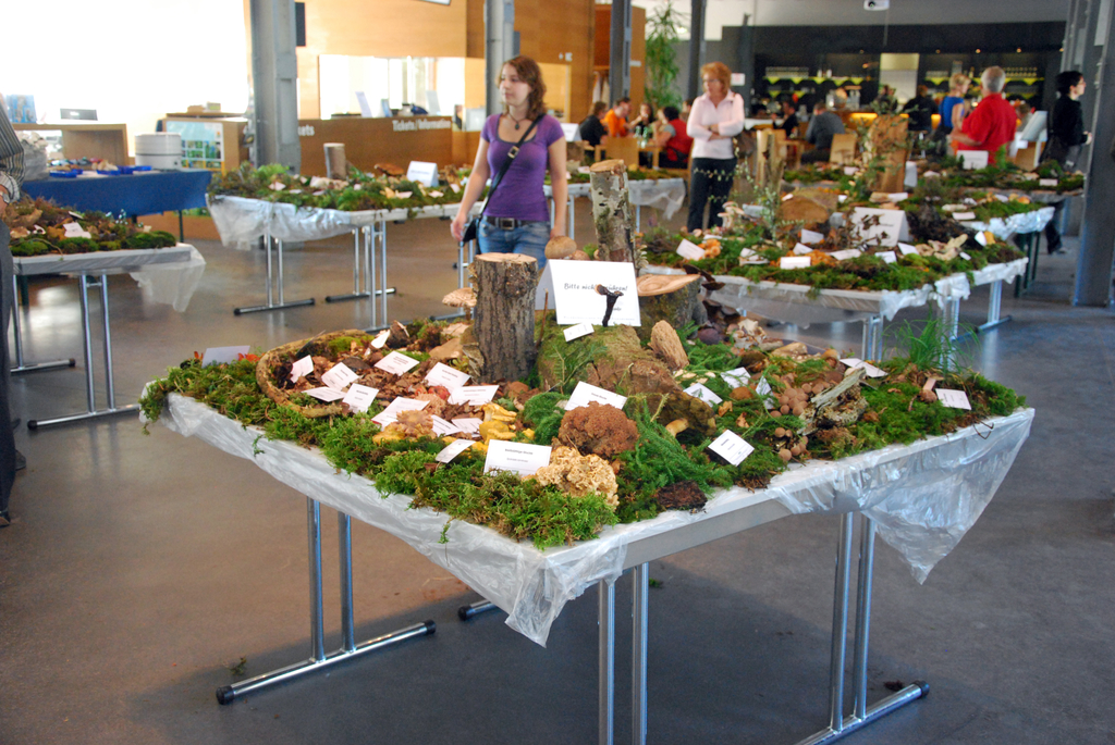 DSC_0071_JPG-1284993183