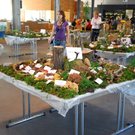 Pilzausstellung Inatura