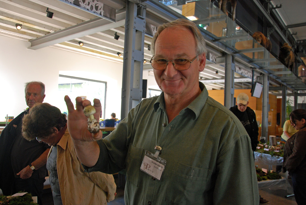 DSC_0033_JPG-1284993278