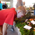 DSC_0037_JPG-1284993340