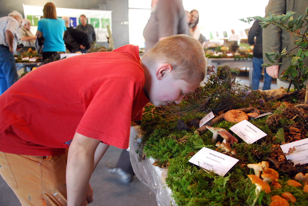 DSC_0037_JPG-1284993340