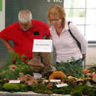 DSC_0041_JPG-1284993402