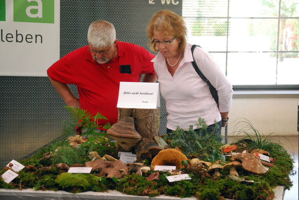 DSC_0041_JPG-1284993402