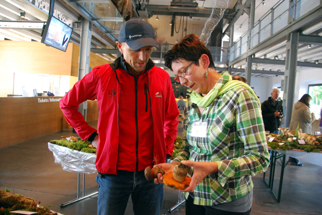 DSC_0054_JPG-1284993443