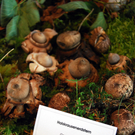 DSC_0058_JPG-1284993508