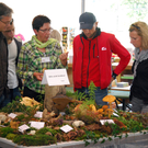 DSC_0065_JPG-1284993571