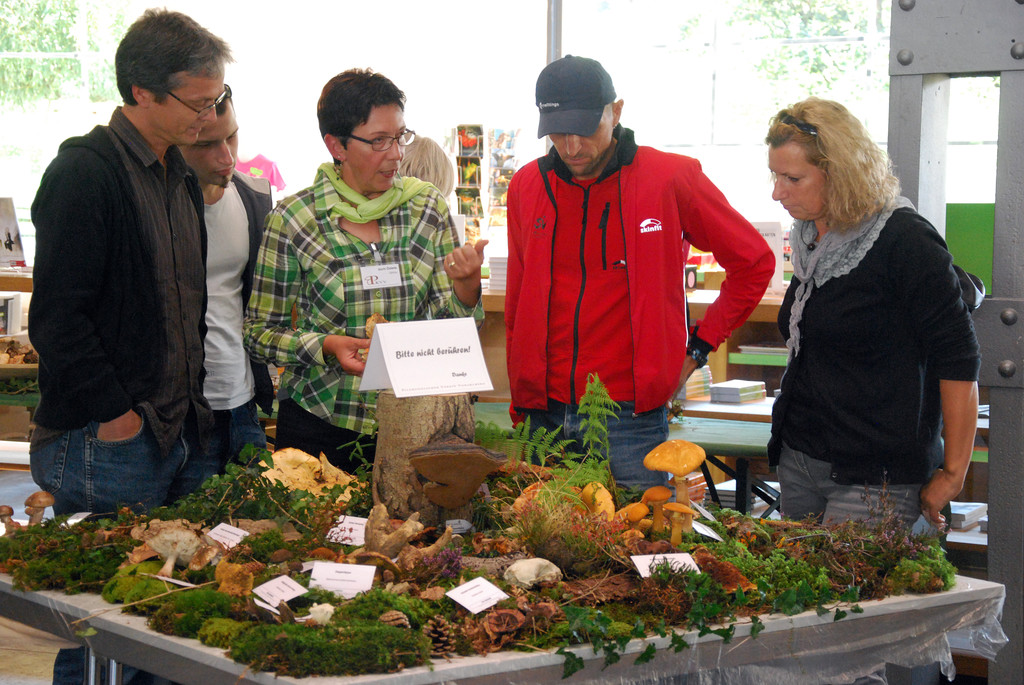 DSC_0065_JPG-1284993571