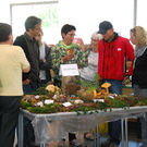 DSC_0067_JPG-1284993628