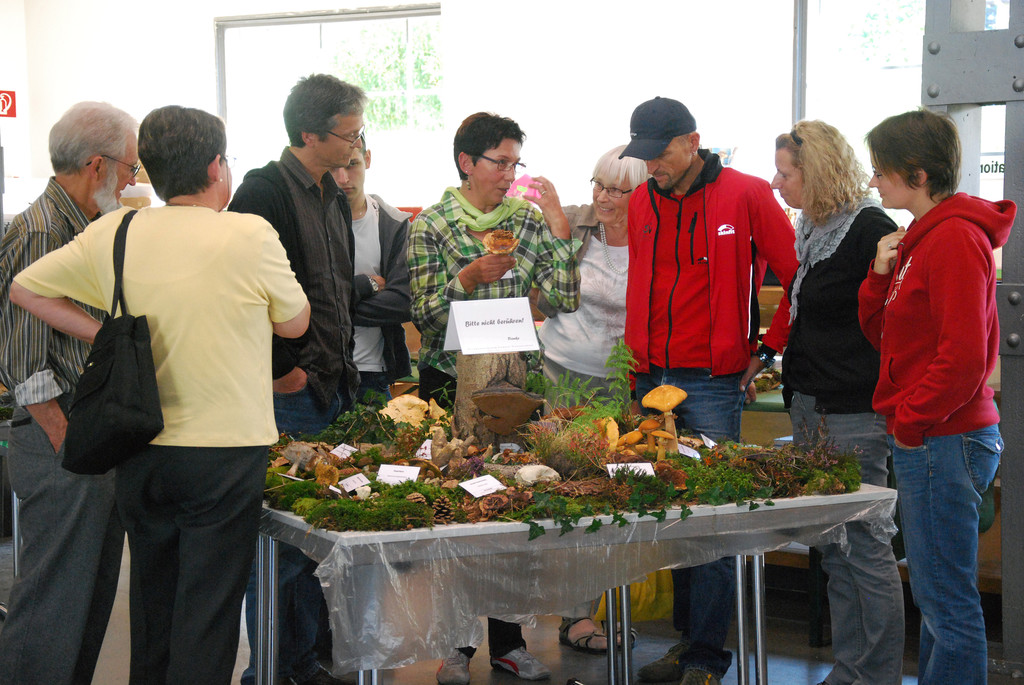 DSC_0067_JPG-1284993628