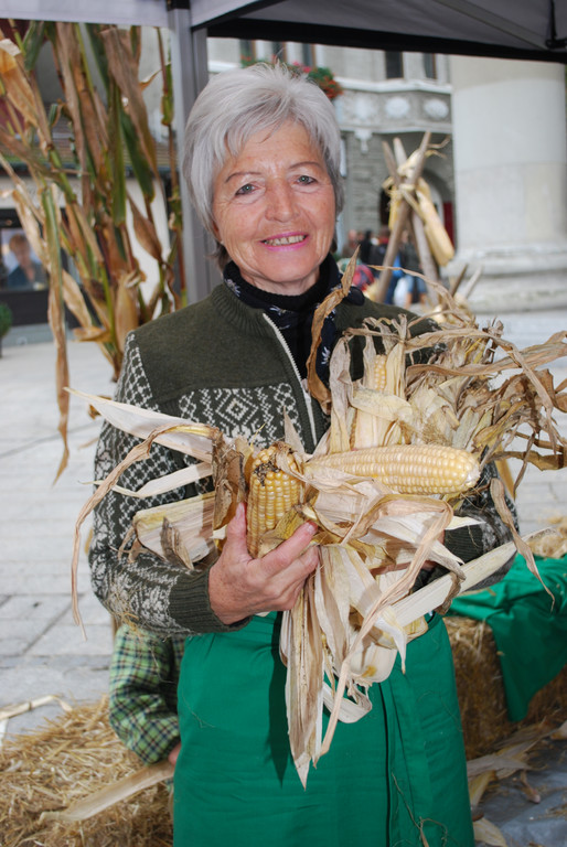 DSC_0153_JPG-1285021972