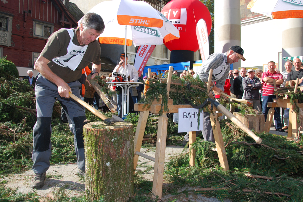 DSC_0102_JPG-1285026360