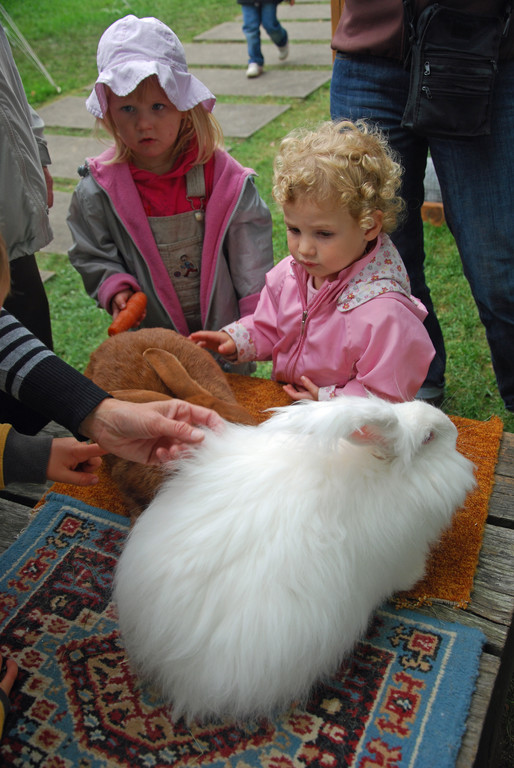 DSC_0077_JPG-1285029566