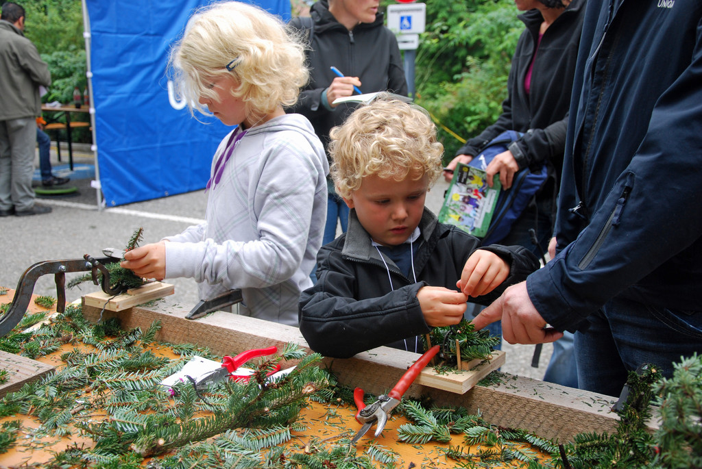 DSC_0081_JPG-1285029660