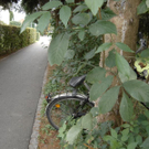 -Geparktes-Fahrrad _3__JPG-1285062059