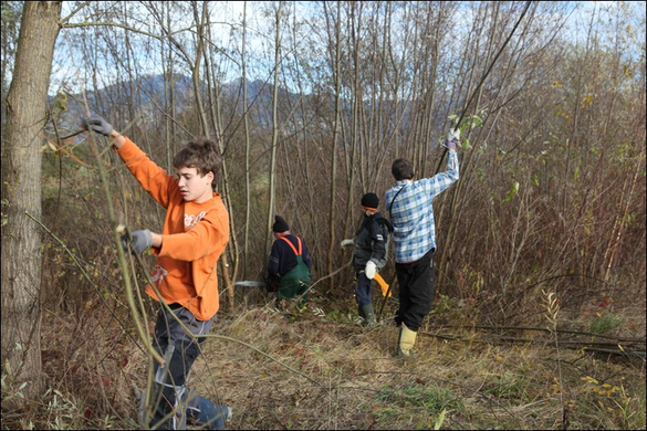 HK_Naturschutzjugend _31_.jpg