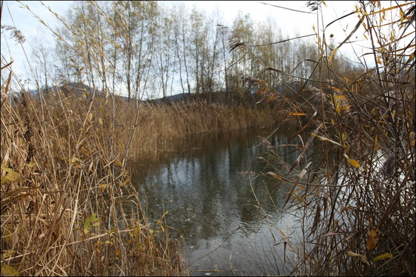 HK_Naturschutzjugend _38_.jpg