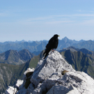 Diem Hannes 8.jpg