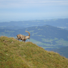 Diem Hannes 17.jpg