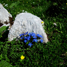D__r Waltraud 1.jpg