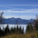 Fischnaller Martin 2.jpg