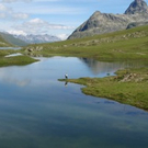 Erschwender Gerhard 1.jpg