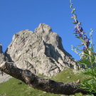 Gebhart Manfred 5.jpg