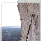 Scheffknecht G__nter 8.jpg