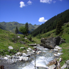 Scheier Gertrud 3.jpg