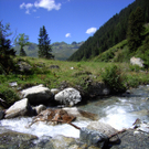 Scheier Gertrud 6.jpg