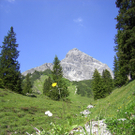 Scheier Gertrud 9.jpg