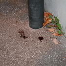 normal_20092010messerffaktivnews_5.jpg