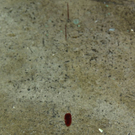 normal_21092010spaenglerstrmwaktivnews_20.jpg