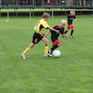 DSC08560.JPG