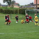 DSC08575.JPG