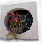 DSCN2322.JPG