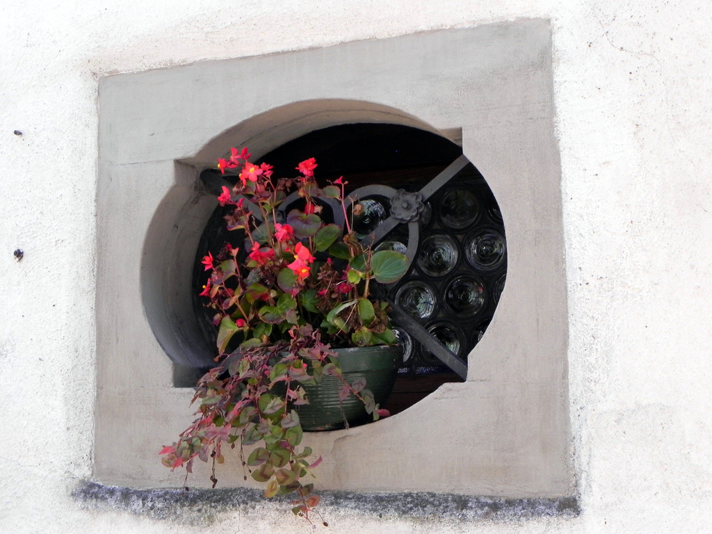 DSCN2322.JPG