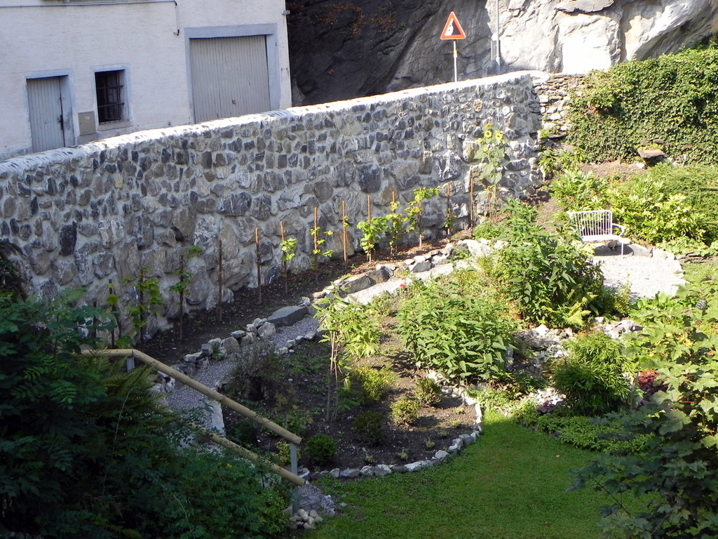DSCN2345.JPG