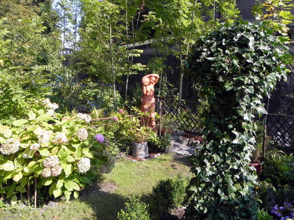 DSCN2348.JPG