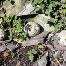 DSCN2360.JPG